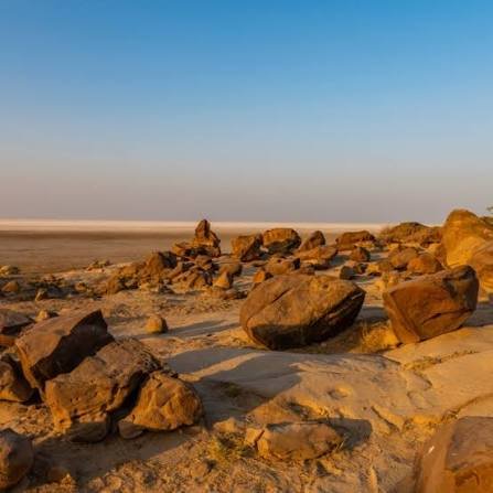 Fossil Park, Dholavira