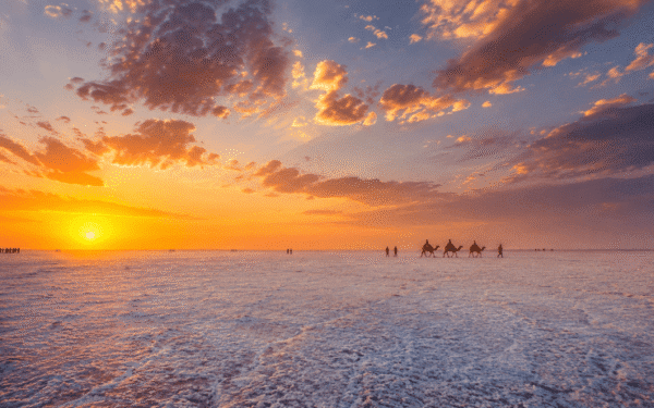 White Rann of Kutch — The Complete 2026 Travel Guide