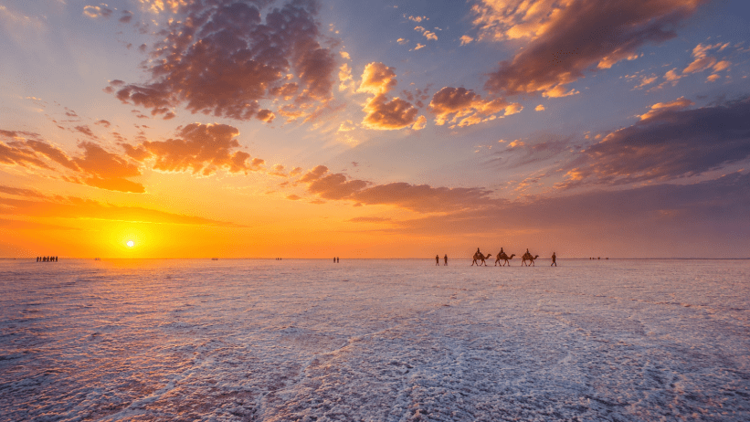 White Rann of Kutch — The Complete 2026 Travel Guide